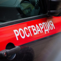 В Тольятти сотрудниками вневедомственной охраны Росгвардии задержан подозреваемый в убийстве