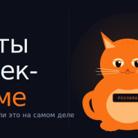 Котики в рекламе: почему они работают (и когда убивают конверсию)