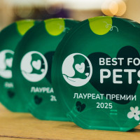 Вклад в благополучие питомцев: премия «Лучшее для питомцев» (Best for Pets) продолжает прием заявок в 2026 году
