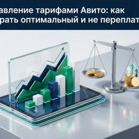 Управление тарифами Авито: как выбрать оптимальный и не переплатить