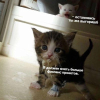 Как фрилансеру выбрать сильный сегмент клиентов по последним проектам