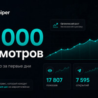 Запустил PriceSniper и получил первые 30 000 просмотров без рекламы: что произошло за первые дни