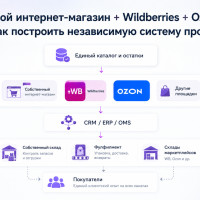 Свой интернет-магазин + Wildberries + Ozon: как построить независимую систему продаж
