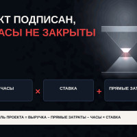 MODEL STATUS = PASS, а отрицательные часы дают 148,25% рентабельности проекта