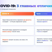 В США озабочены чумой в Иркутске, а в России — нет. Почему?