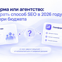 Платформа или агентство: как выбрать способ SEO в 2026 году без потери бюджета