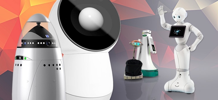 Multifunctional Home Robots