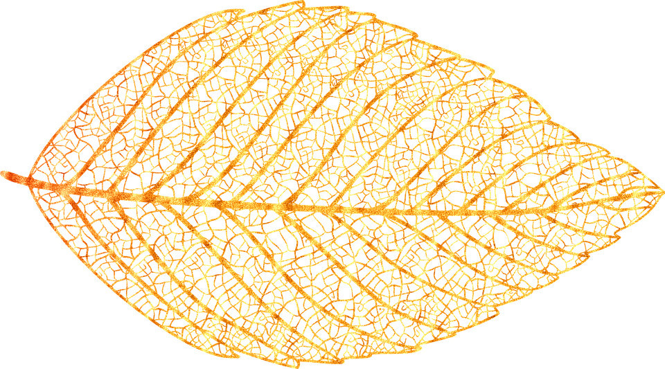 Узор листьев 2. Листья золотые. Золотистый лист. Лист золота. Скелетные листья.
