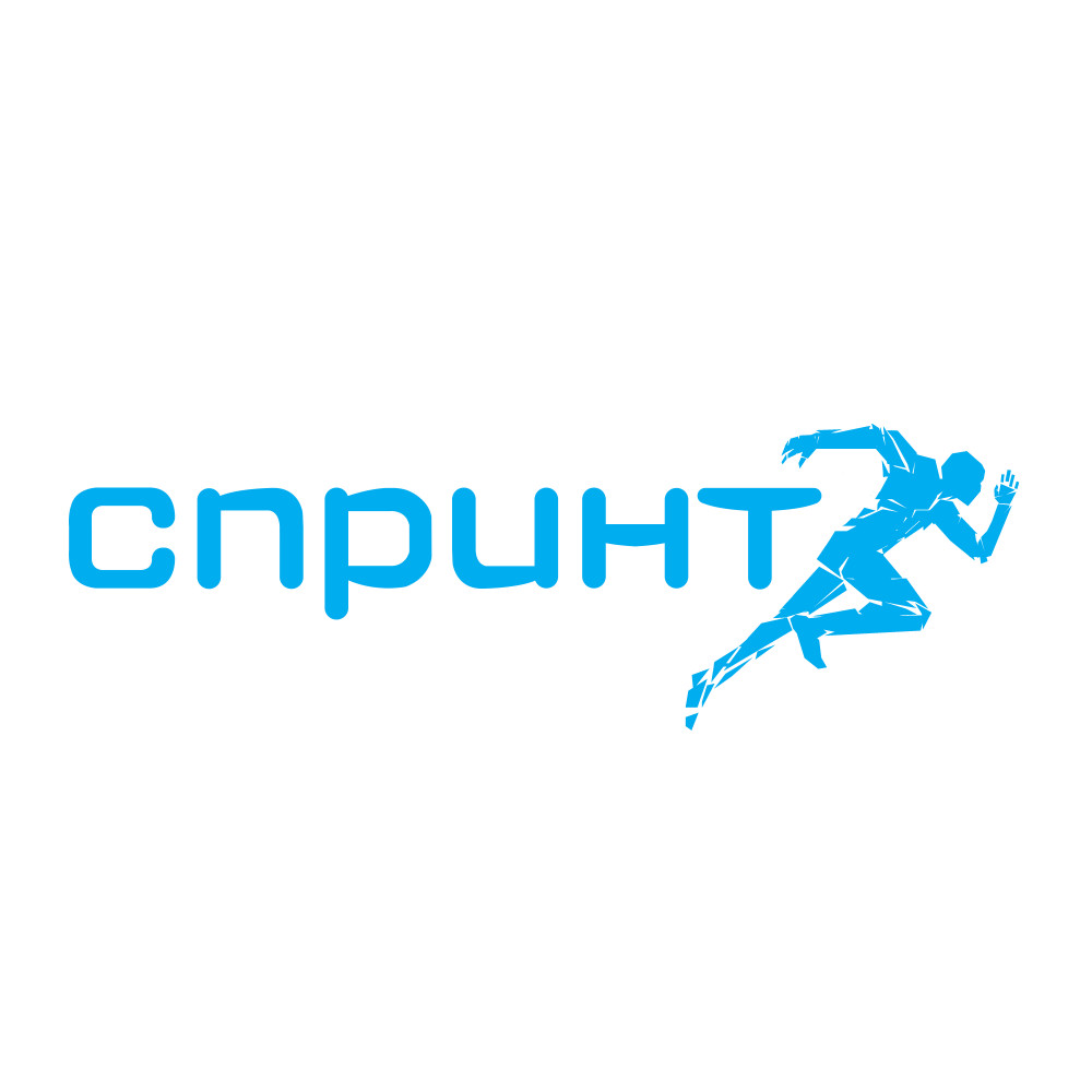 Проект бизнес спринт