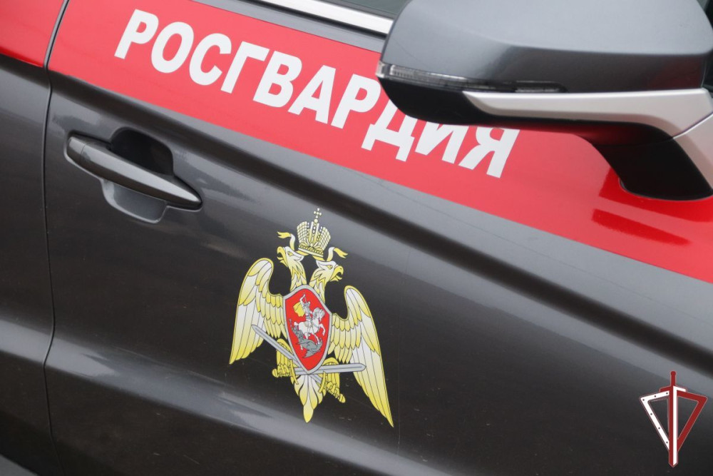 УФСВНГ по СО: В Самарской области росгвардейцы задержали подозреваемого в краже