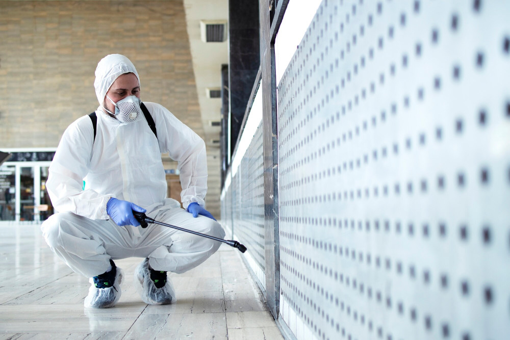 CleanOn: Что делать бизнесу если насекомые возвращаются из соседних помещений