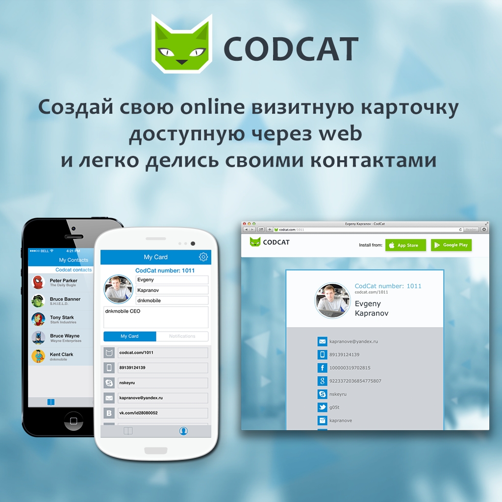 СodСat - приложение в маркетах