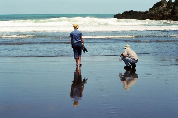 Piha_beach.jpg