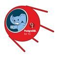 PostgreSQL1C_Logo_120.jpg.120x120.jpg