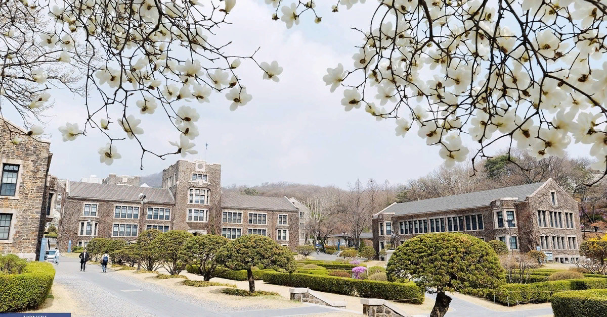 Фото korea university