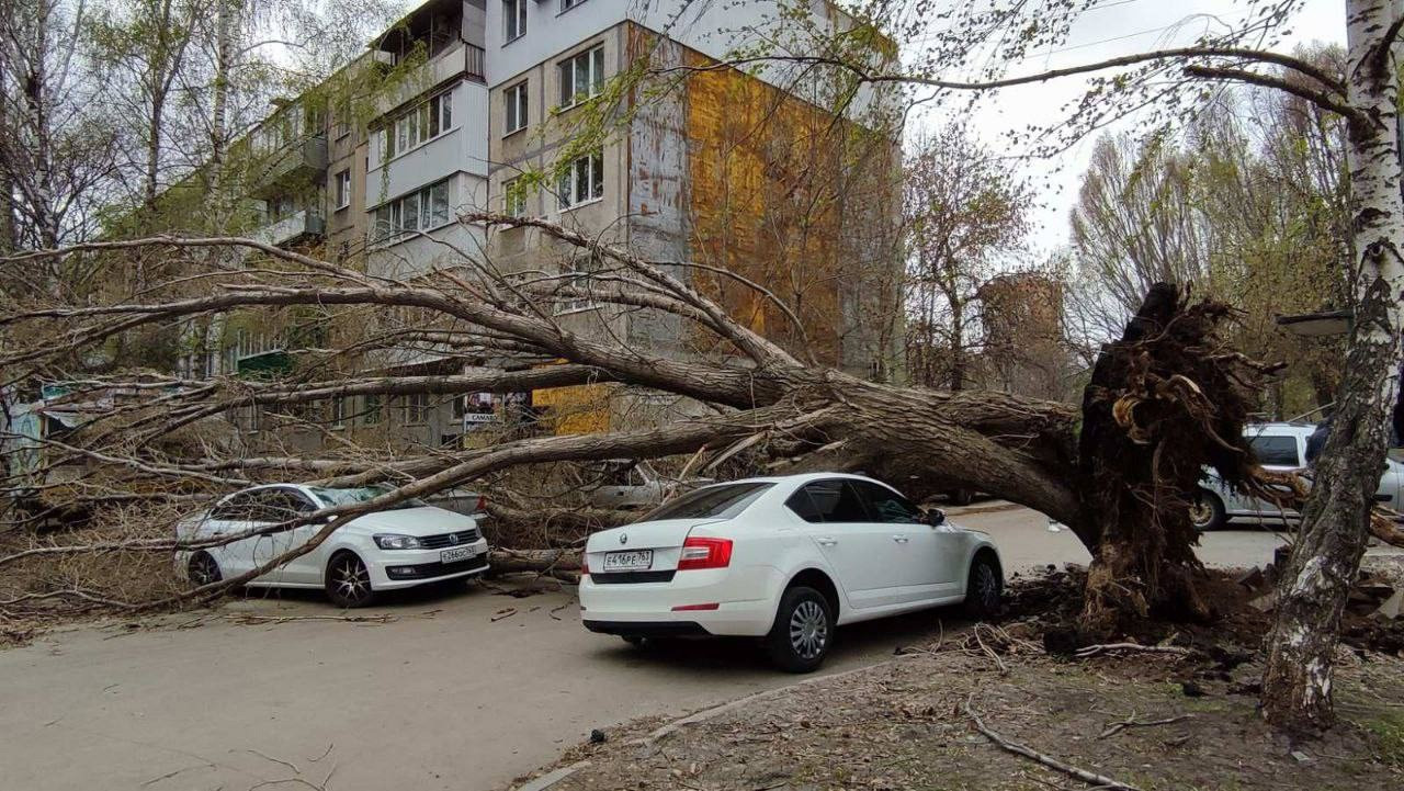 Дерево упало на автомобиль