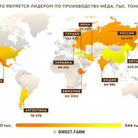 Страны лидеры по производству мёда