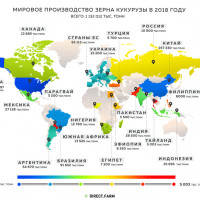 Страны-лидеры по выращиванию кукурузы