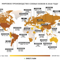 Страны-лидеры по производству сои