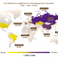 Страны-лидеры по производству гречихи