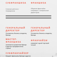 Чем отличается субфраншиза от франшизы?