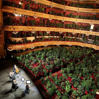 Музыканты испанского оперного театра сыграли необычный концерт