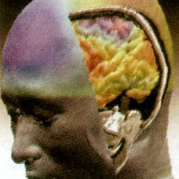 Чипирование мозга: поможет ли оно отслеживать вирусоносителей COVID-19?