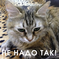 Разбираем шесть антипримеров построения удаленки