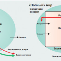Профессиональный консалтинг, планирование и проектирование пространственного развития при нарастании неопределенностей и рисков