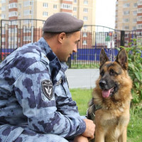 21 ИЮНЯ – ДЕНЬ КИНОЛОГИЧЕСКИХ ПОДРАЗДЕЛЕНИЙ РОСГВАРДИИ