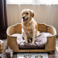 10 отелей Москвы, где можно проживать с животными: отдых с собаками и кошками