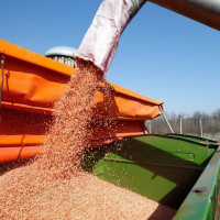 Как открыть бизнес по продаже зерна