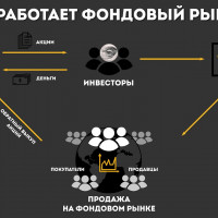 Основы фондового рынка для начинающих