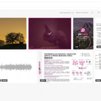 ИТ-решение для работы с файлами организации Picvario теперь доступно для малого и среднего бизнеса