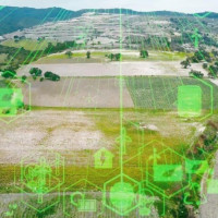 Забудьте о «деньгах»: значение имеют вода, энергия, почва и еда, а также общая национальная цель