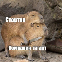 Бросаем вызов гиганту: 5 креативных инструментов маркетинга для стартапа