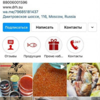 Как мы привлекли 267 лидов для поставщика морепродуктов