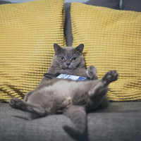 Как успеть вообще все? Действенные советы по управлению временем