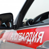 В Башкирии росгвардейцы задержали подозреваемого в краже