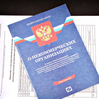 РЕГИСТРАЦИЯ НКО ОНЛАЙН ЧЕРЕЗ ПОРТАЛ ГОСУСЛУГ