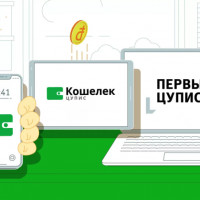 Разработка цифрового платежного сервиса Кошелек ЦУПИС