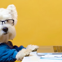 Секреты и преимущества коучинга