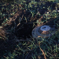 Росгвардейцы уничтожили найденную у дороги противотанковую мину в ДНР