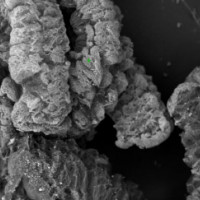 Быстро устранит разлив нефти: пермские ученые разработали уникальный способ изготовления сорбента