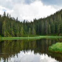 Почему питьевая вода пахнет капустой или плесенью? Рассказали ученые Пермского Политеха
