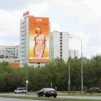 Шоу Полины Гагариной объединяет сердца россиян