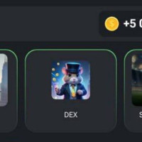 Разработчики игры Hamster Kombat приготовили новое комбо для игроков!