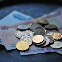 Глава АТОР обеспокоена введением турналога в Екатеринбурге