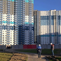 У крупнейшего застройщика Петербурга резко упали продажи