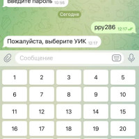 Кейс: Как Telegram-бот помог оптимизировать и организовать работу 450 волонтеров за 3 дня